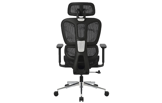  Bluecase Office Ergo Master